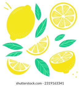 Lemon vector clip art set, flat illustration, citrus fruit