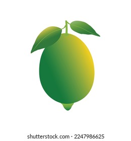 Lemon vector design, fresh fruit design. isolated on white background.