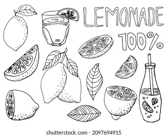 Lemon vector doodle elements and lettering set.The hand drawn outline of whole fruit, lemons on a branch, cut lemon, lemon leaves, bottles with lemonade. Black line art on white.