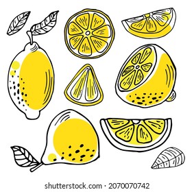 Lemon vector doodle elements with yellow shapes.Hand drawn outline of whole fruit, lemons, cut lemon, lemon leaves. Black line art on white.