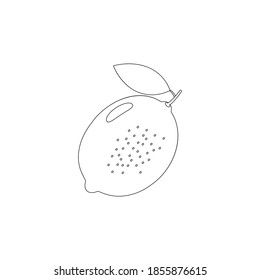 Lemon vector doodle line icon. Lime linear hand drawn symbol. Healthy vitamin fruit concept. Vector illustration isolated on white.