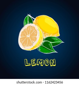 Lemon vector drawing. Summer fruit artistic illustration. Isolated hand drawn whole lemon and slice. Vegetarian tropical food. Great for label, poster, print, packaging