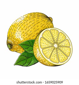 Lemon vector engraved style illustration for posters, decoration and print. Hand drawn etching sketch of passion fruit in colorful. Detailed vegetarian food linocut drawing. Scratch board imitation.