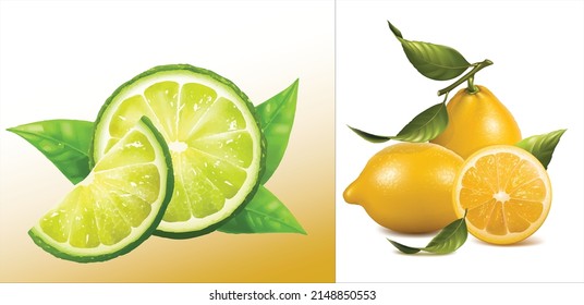 Lemon vector graphic design illustration.