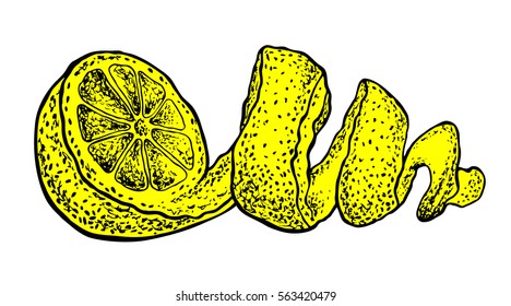 lemon. Vector hand drawn graphic illustration.