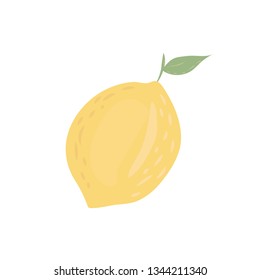 Lemon vector icon illustration isolated on white background.