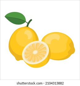Lemon vector icon isolated on white background. Realistic sweet fruit.