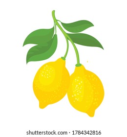 Lemon vector icon.Cartoon vector icon isolated on white background lemon.