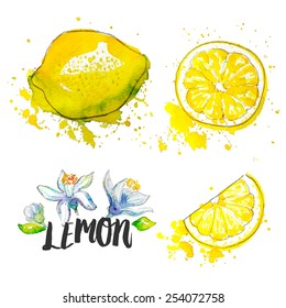 Lemon. Vector illustration