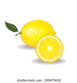 lemon vector illustration 