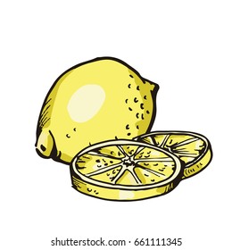 Lemon vector. Illustration. Cartoon style 