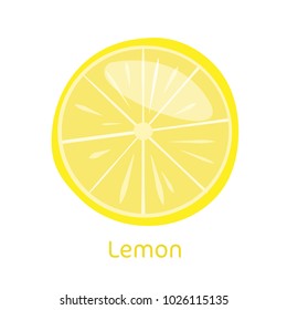 Lemon. Vector illustration. Citrus. Tropical Fruit.