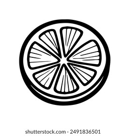 lemon vector illustration. contour drawing of citrus fruit, lime, orange, on a white background