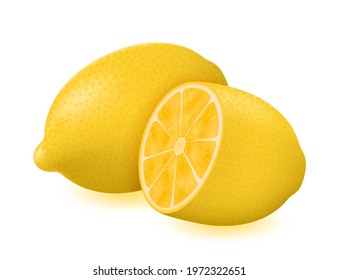 Lemon vector illustration. Fresh ripe lemon isolated on white background. Realistic citrus fruit.