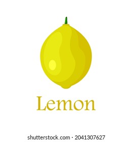 Vector de limón. Ilustración vectorial de limón fresco en estilo de moda aislado en fondo blanco