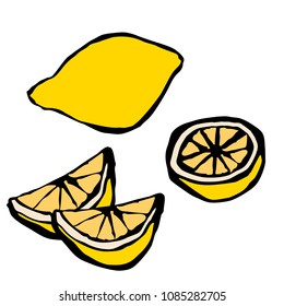 Lemon vector illustration. Hand drawing fruits on white background