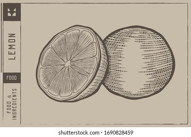 Lemon Vector illustration - Hand drawn - Out line