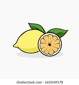 Lemon vector illustration isolated for all purpose