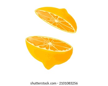 Lemon vector illustration isolated on white background, two lemon slices vector.