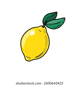 Lemon vector illustration, lemon isolated on white