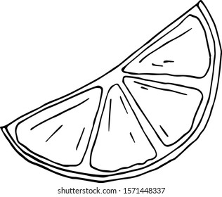 Lemon vector illustration no background isolated