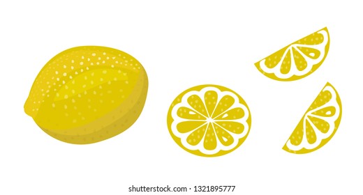 lemon vector illustration on white background. whole, slice and half of slice