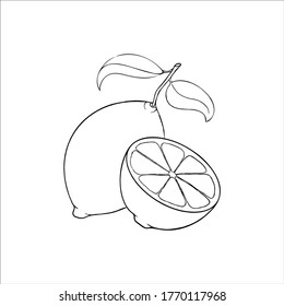 Lemon vector illustration on white background. Isolated liner icon of a lemon with leaves and a half a lemon.