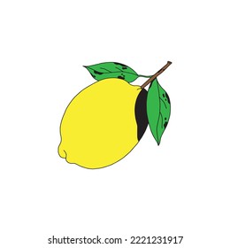 Lemon vector illustration on white background. Suitable for food, fruits and vegetables content design