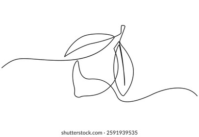 Lemon vector illustration. One continuous line drawing art illustration, Continuous one line yellow lemon halves isolated on white background. Simple citrus silhouette.