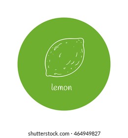 Lemon vector illustration. Lemon outline icon.