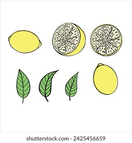 ilustración vectorial de limón. imagen de limón para una postal. Cítricos para el té
