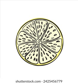 lemon vector illustration. lemon picture for a postcard. Citrus fruit for tea