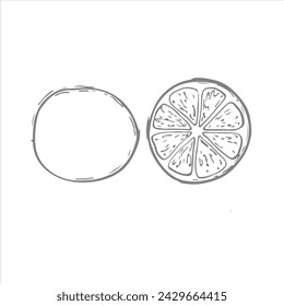 Zitronen-Vektor-Illustration. Zitronenbild für eine Postkarte. Zitrusfrüchte für Tee