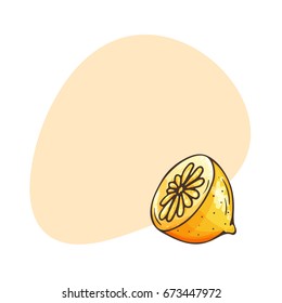 Lemon vector illustration with place for text. Hand drawn sketch