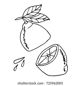 Lemon vector illustration. Retro. Doodle. Design icon, print, logo, poster, symbol, decor, textile, paper.