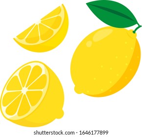 
Ilustración vectorial de limón , Frutas tropicales