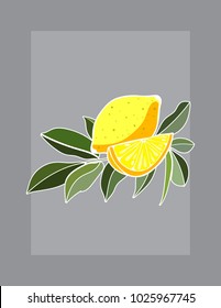 Lemon vector illustration with white outline on grey background