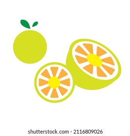 Lemon vector image or clip art
