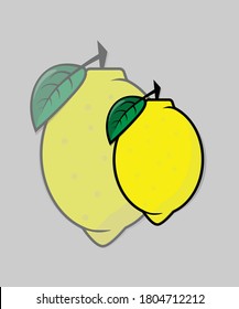 lemon vector, inspired by the freshness of lemons