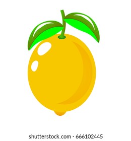 Lemon vector . Isolated illustration on white background.