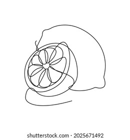 Lemon vector line, continuous outline isolated on white background.