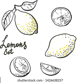 lemon vector lineart. Set of decorative handdrawn lemons with half, slice and leaves