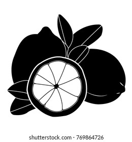 Lemon. Vector logo fruits. Slice sour lemon. Citrus