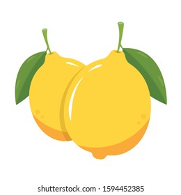 Lemon vector. Lemon on white background.