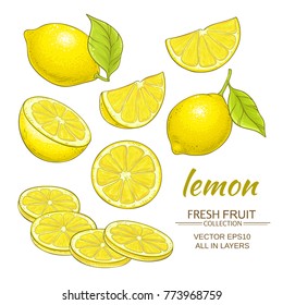 lemon vector set