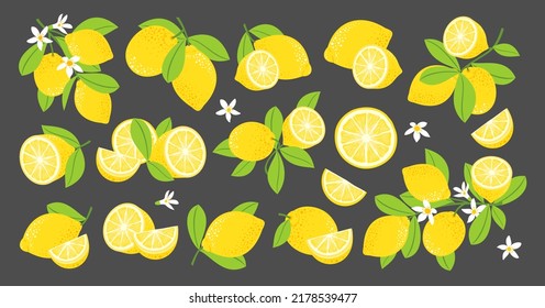 Lemon vector set. Lemon blossoming branches. Lemon fruits, halves, leaves, flowers. Isolated clipart on a dark background.