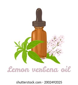 Lemon verbena essential oil. Amber glass dropper bottle and fragrant flowering Aloysia citrodora branches isolated on white background. Vector illustration in cartoon flat style.