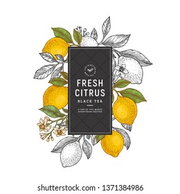 Lemon vertical colored design template. Engraved  botanical style illustration. Vector illustration