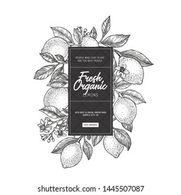 Lemon vertical design template. Engraved  botanical style illustration. Vector illustration