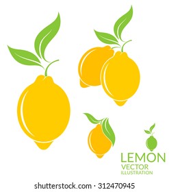 Lemon vintage style. Tropical fruit with leaves on white background. Vector illustration EPS10. Lemon with leaves icon 